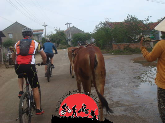 12 Days Nha Trang Biking To Hanoi Along The Coast and Ho Chi Minh Trails