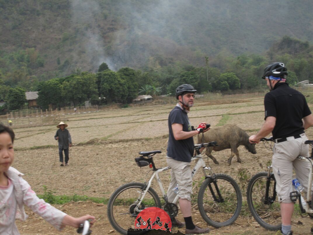 1 Day Hue Biking To Hoi An