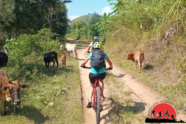 3 Days Beautiful Cycling Tour To Ben Tre - Tra Vinh - Can Tho