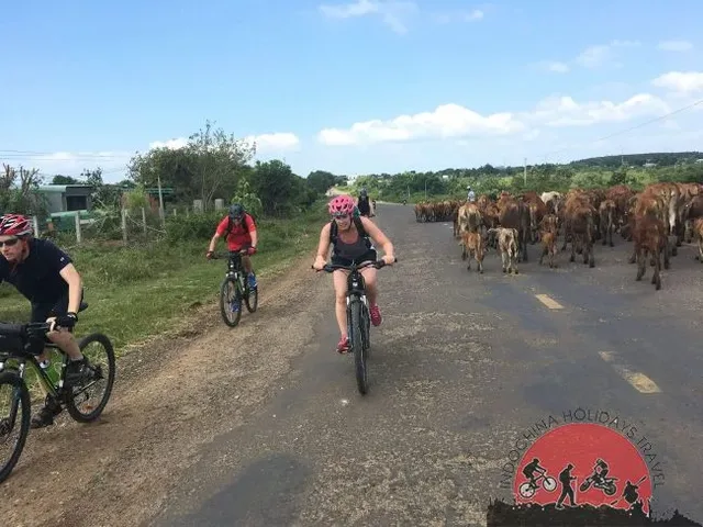 Biking Through Vietnam - 20 Day 4