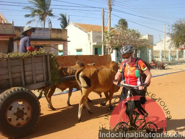 Nha Trang Biking to Vinh City - 8 Days 1